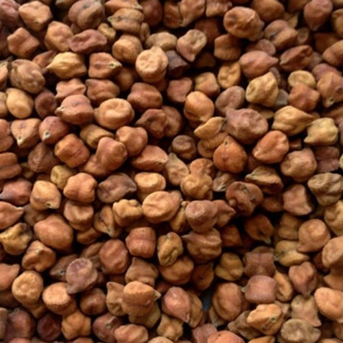 Black Chickpeas Exporters