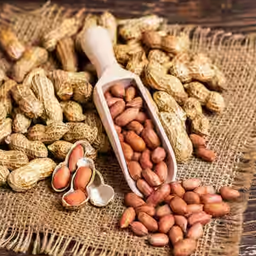 Groundnut Exporters